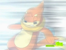 Buizel getting owned